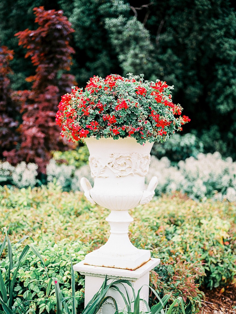 A white ornate planter filled with vibrant red flowers in a garden setting