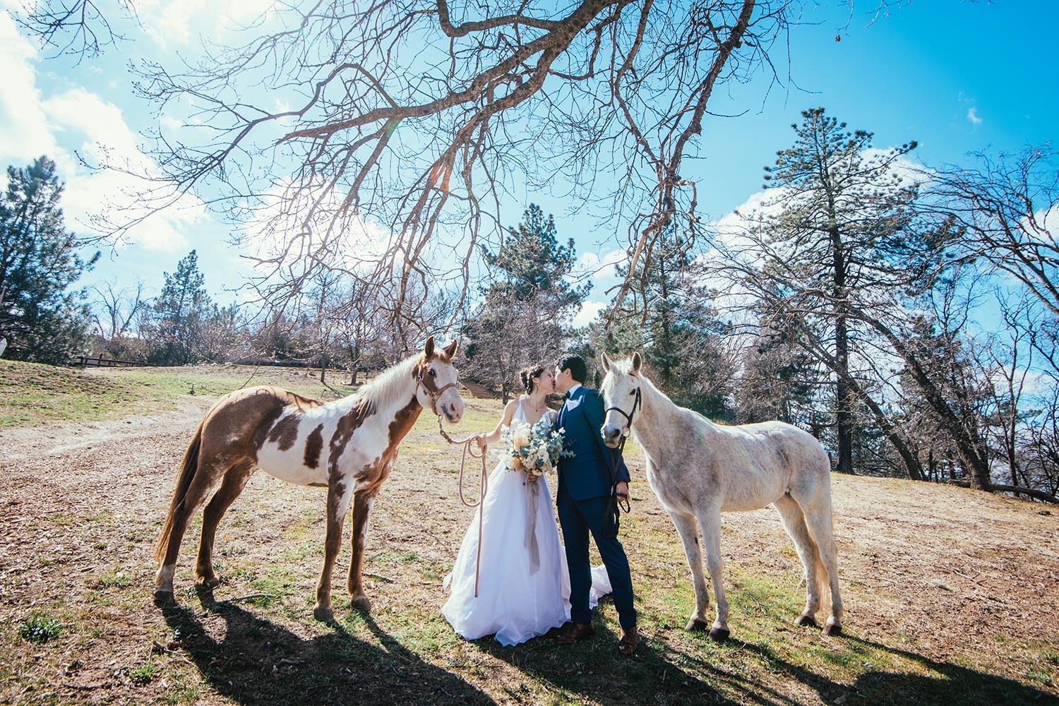 classicromanticweddingdaywithanadorabletwist51