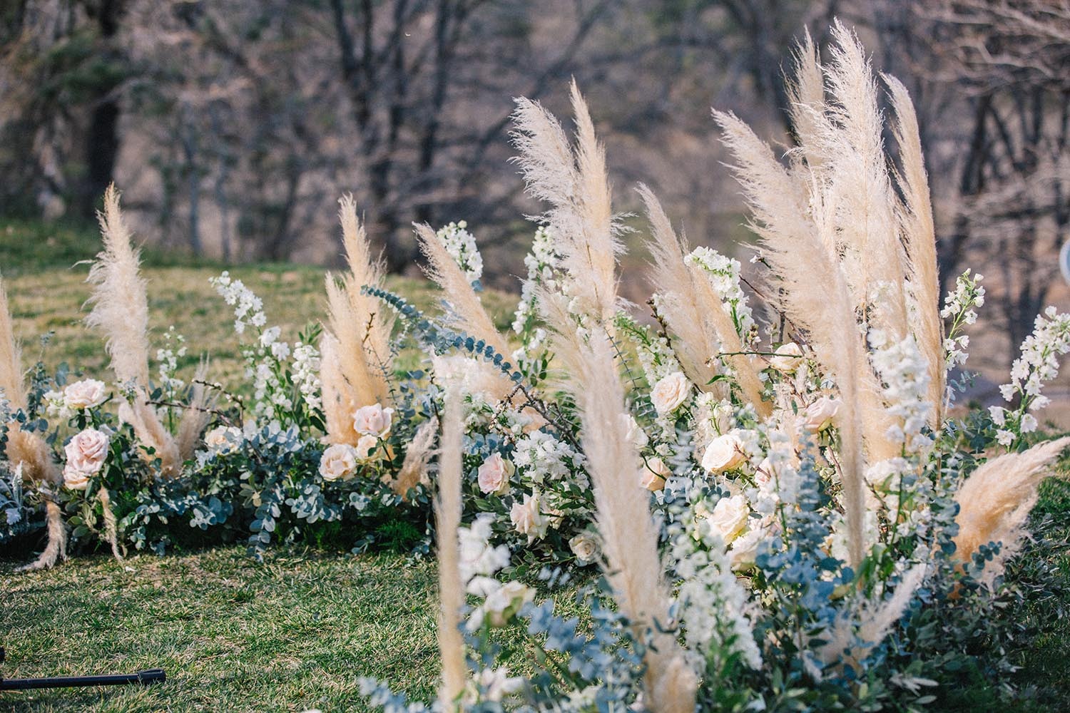 pampas grass and roses wedding backdrop