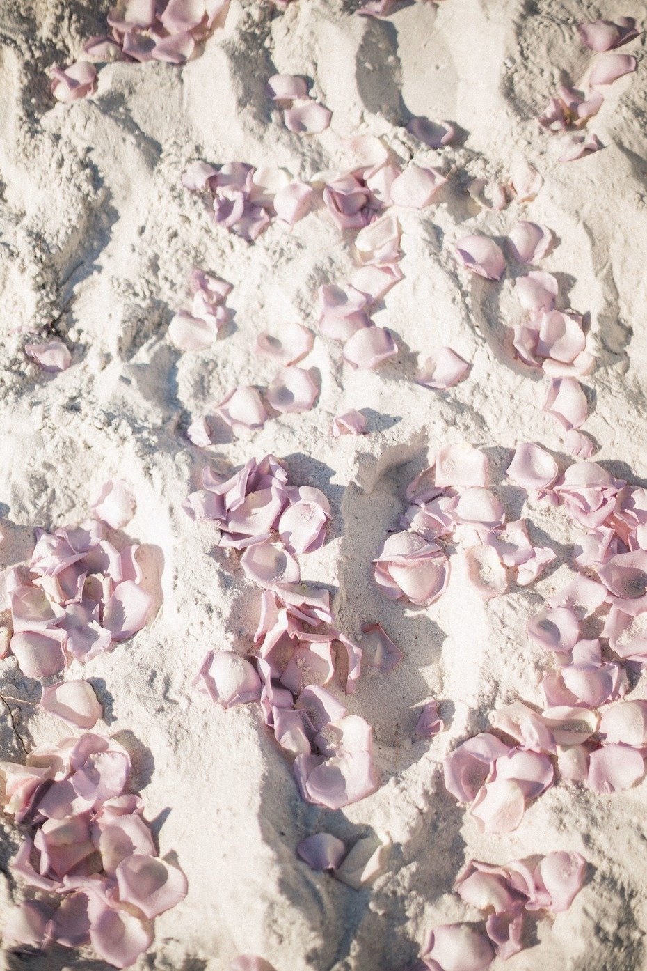 flower petals in the sand