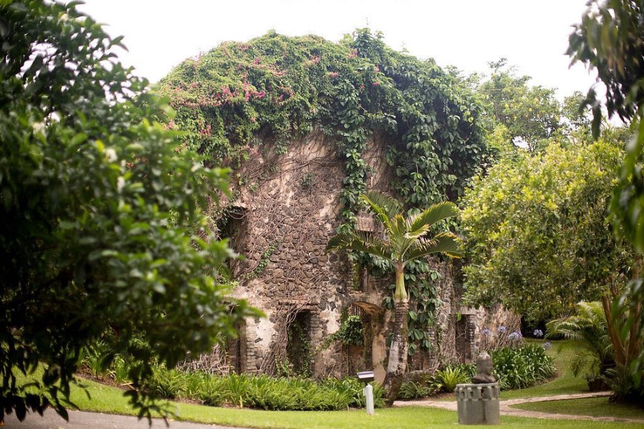 Ivy covered stone building ruin in tropical garden