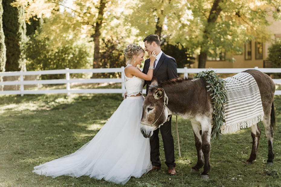 wedding donkey and wedding couple
