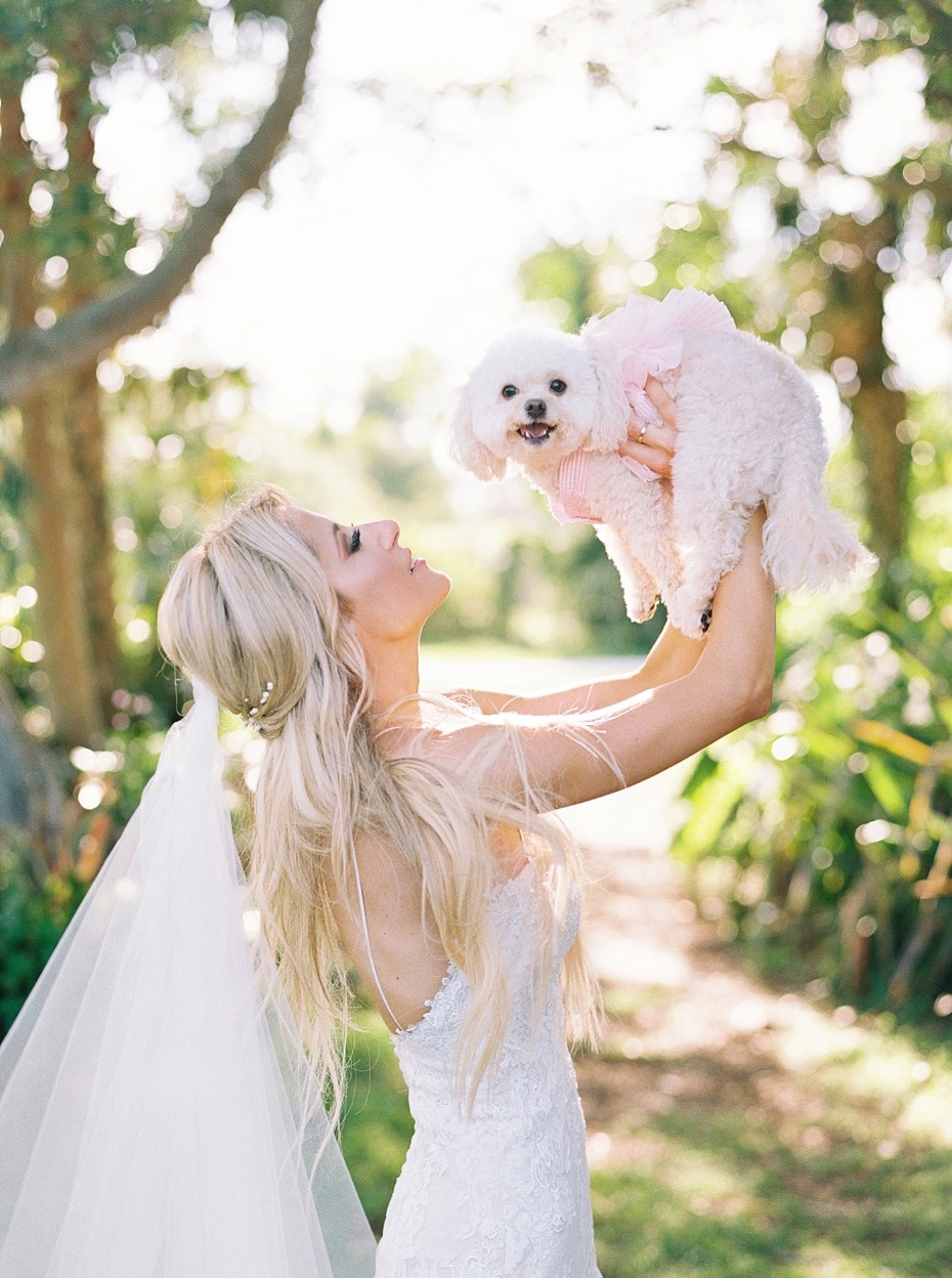 sweet wedding puppy