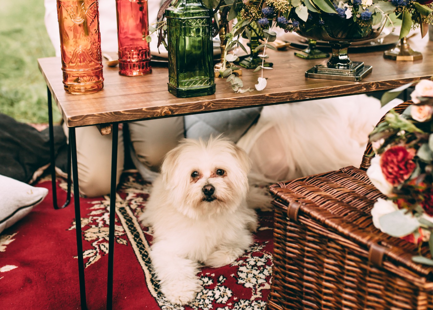 this-boho-style-elopement-shoot-at
