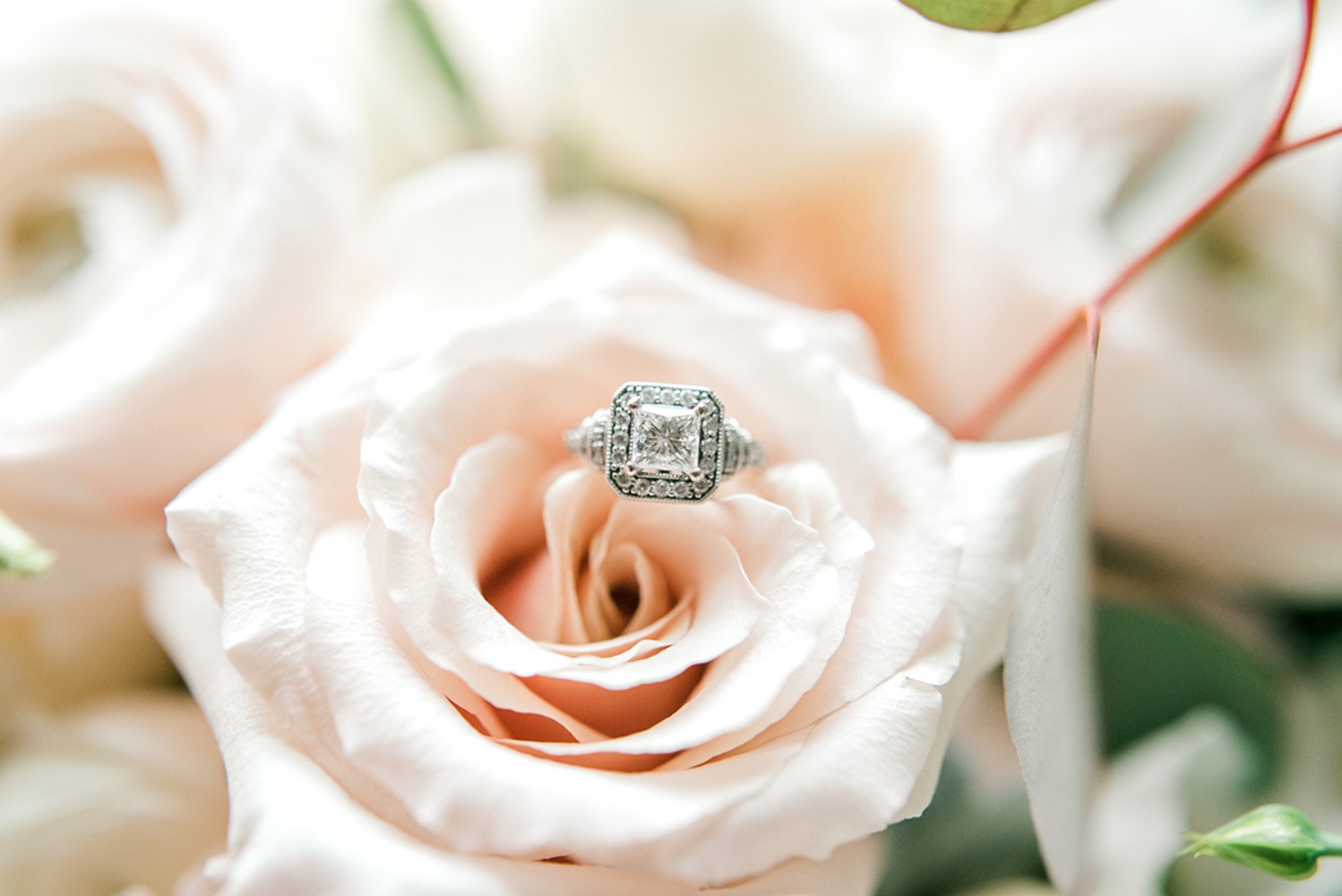 Elegant engagement ring in a blush rose, perfect for proposal