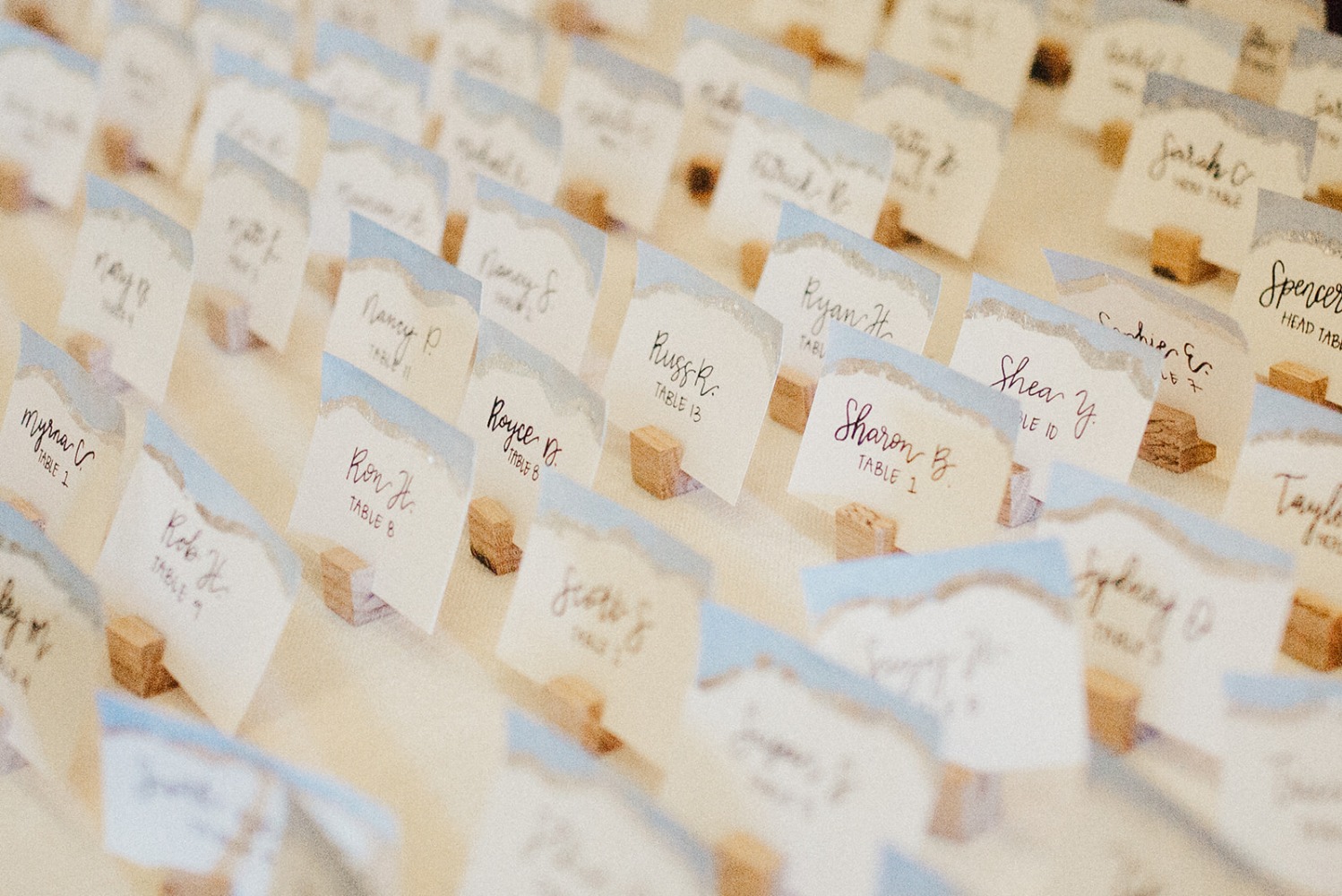 willow-_and_-ivy-events