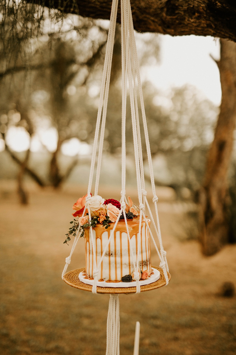 allison-slater-photography