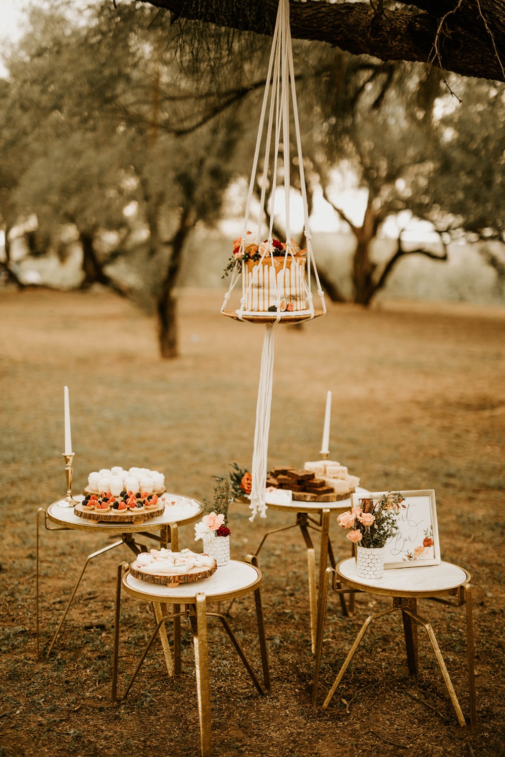 allison-slater-photography