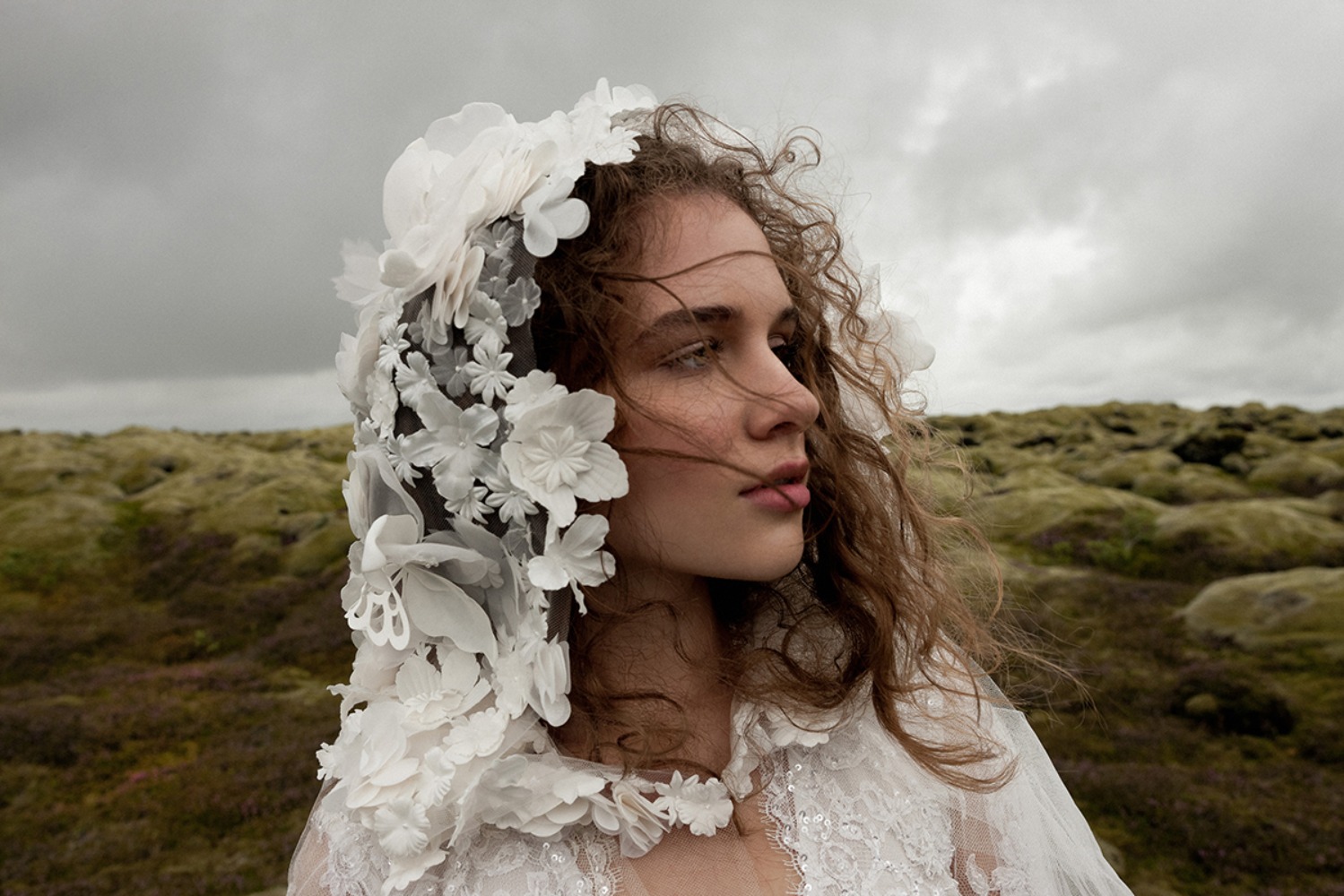 dalaarnawhispercollection2019100