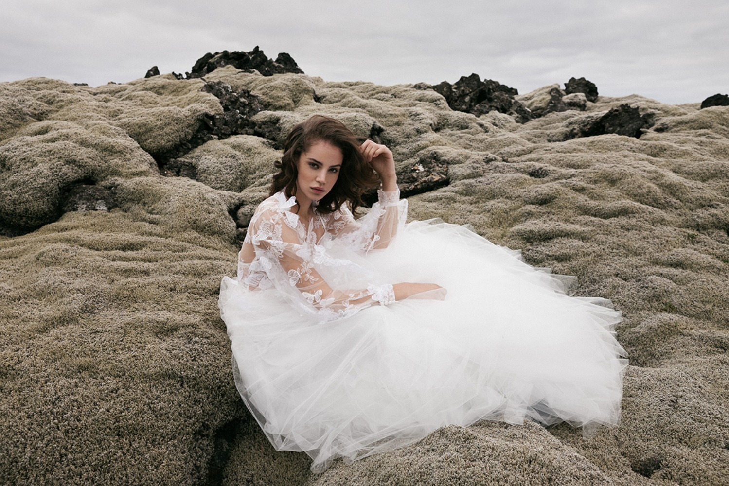 dalaarnawhispercollection201931