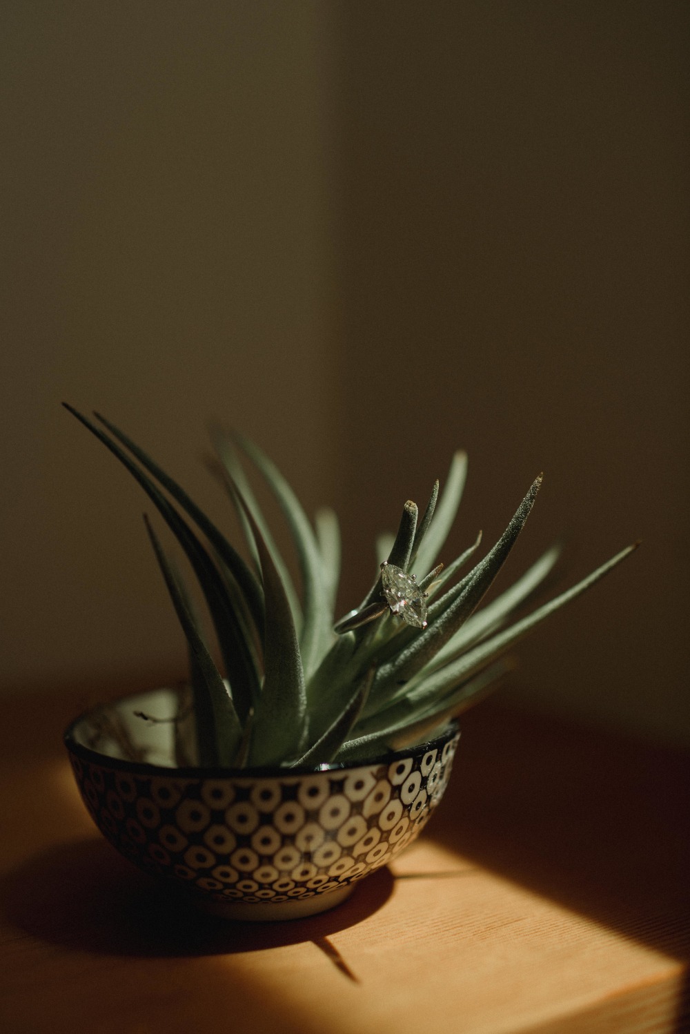 jeff-brummett-visuals