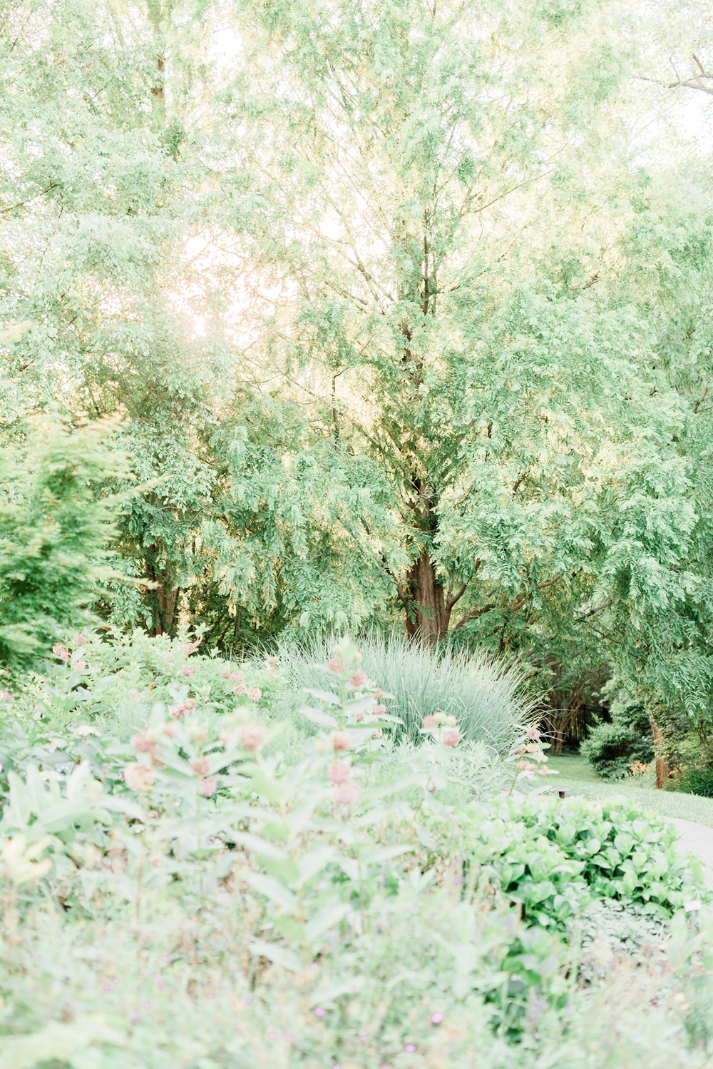jennifer-larsen-photography