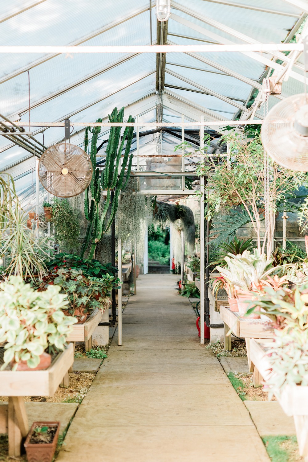 jennifer-larsen-photography
