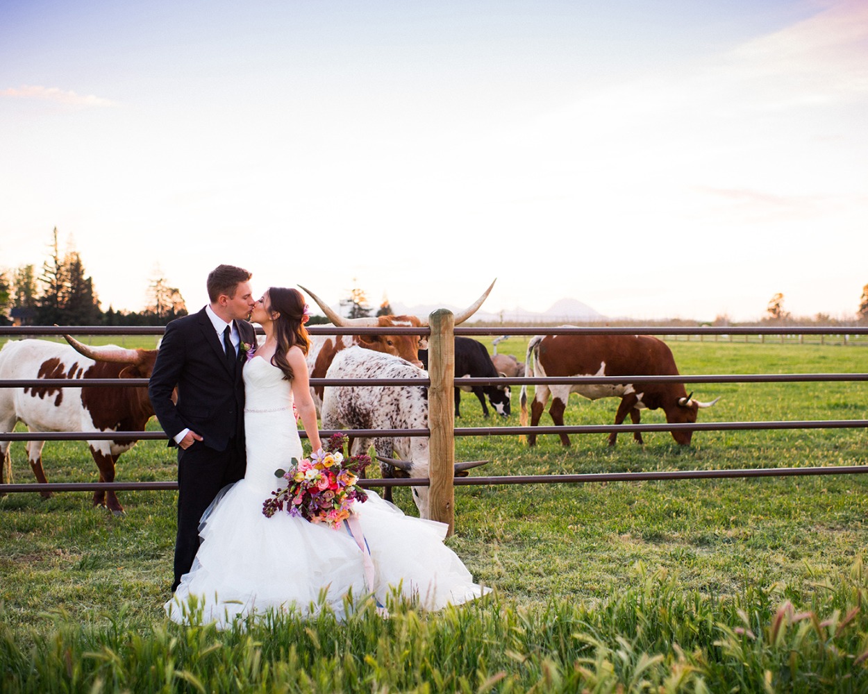 Longhorn ranch wedding photo idea