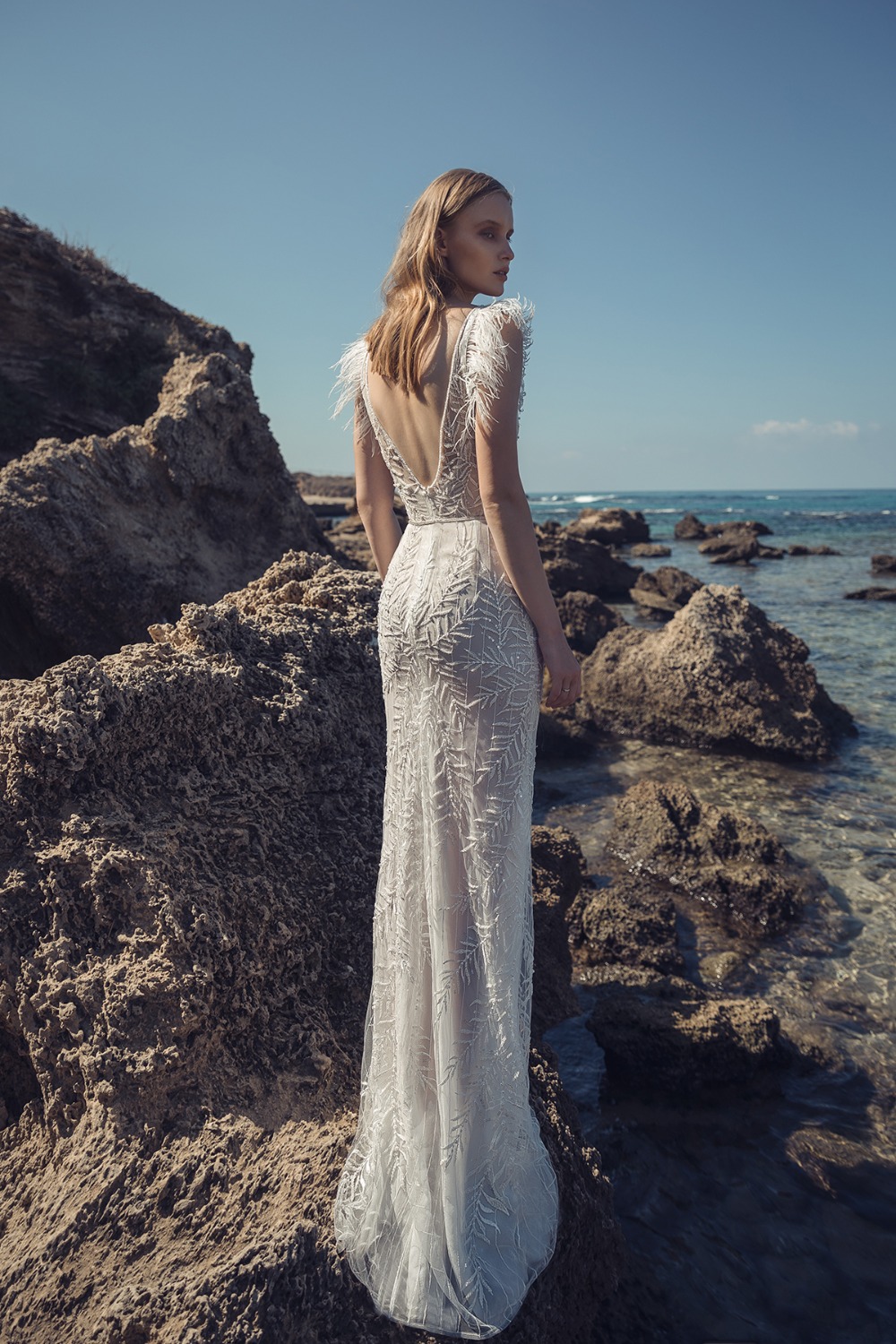 liliumthewilerose2019collection10