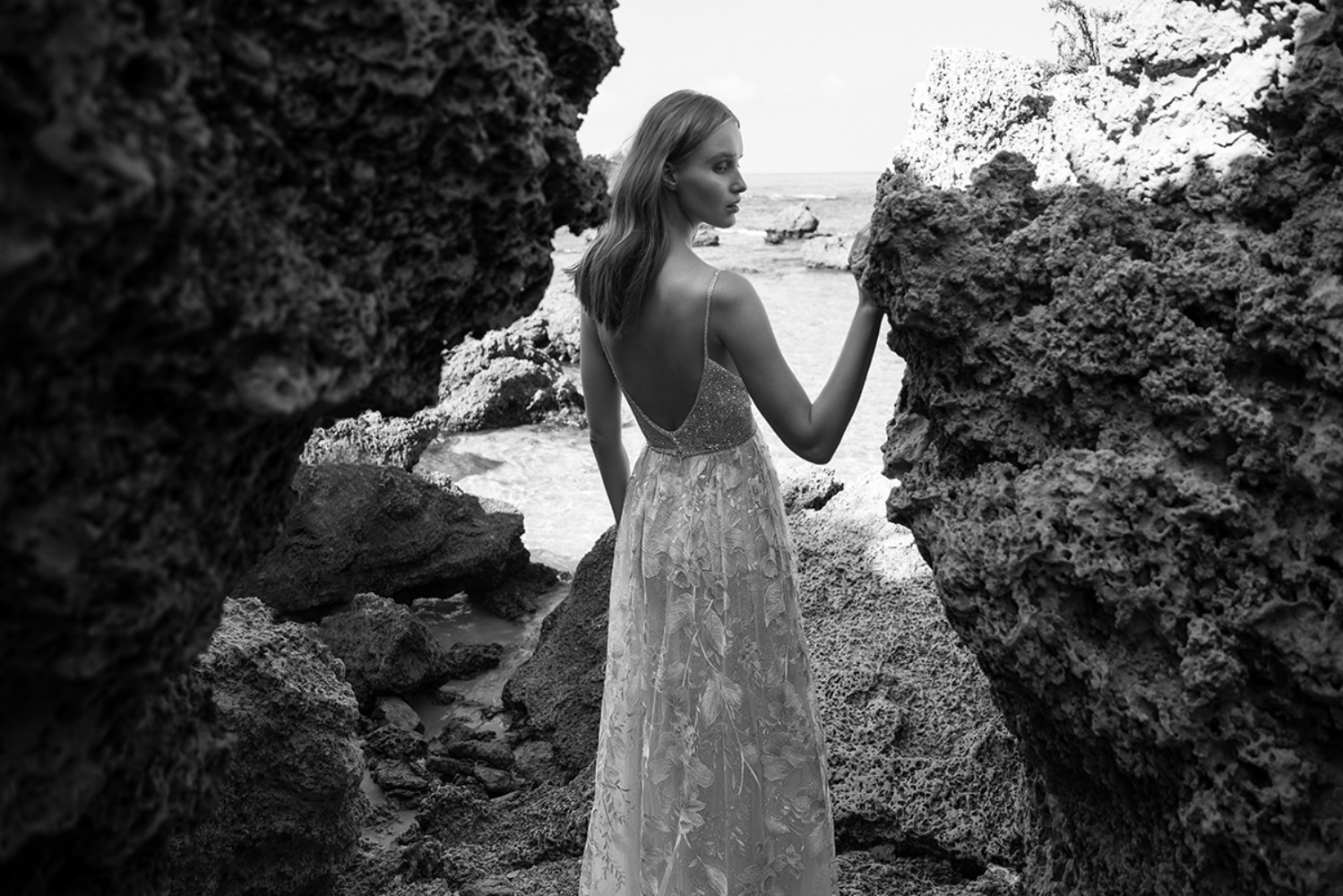 liliumthewilerose2019collection12