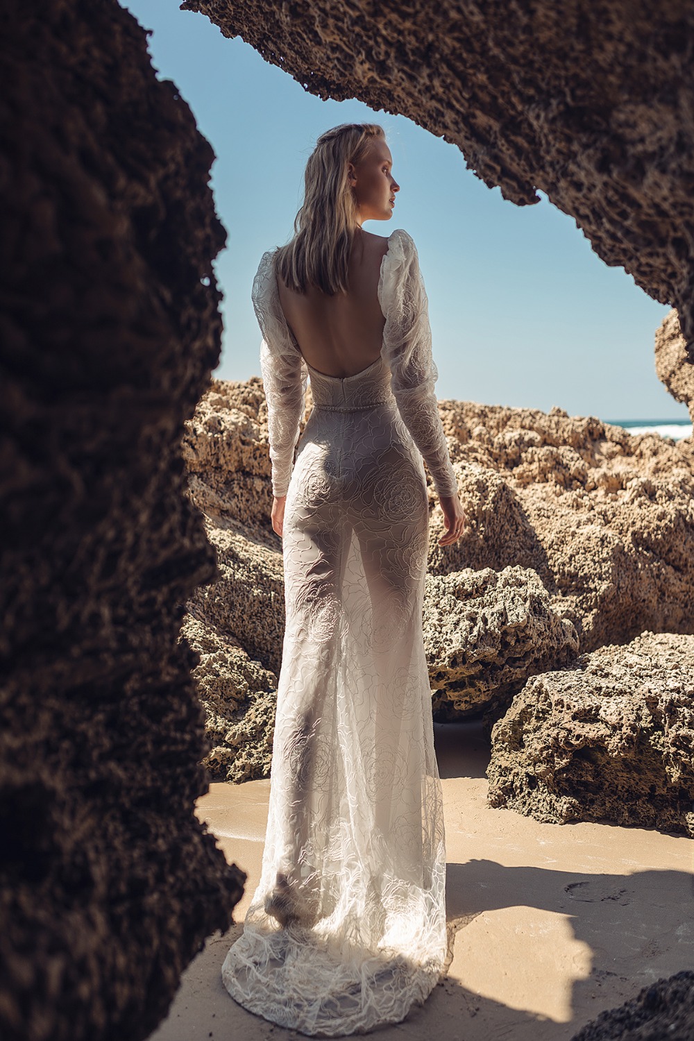 liliumthewilerose2019collection16