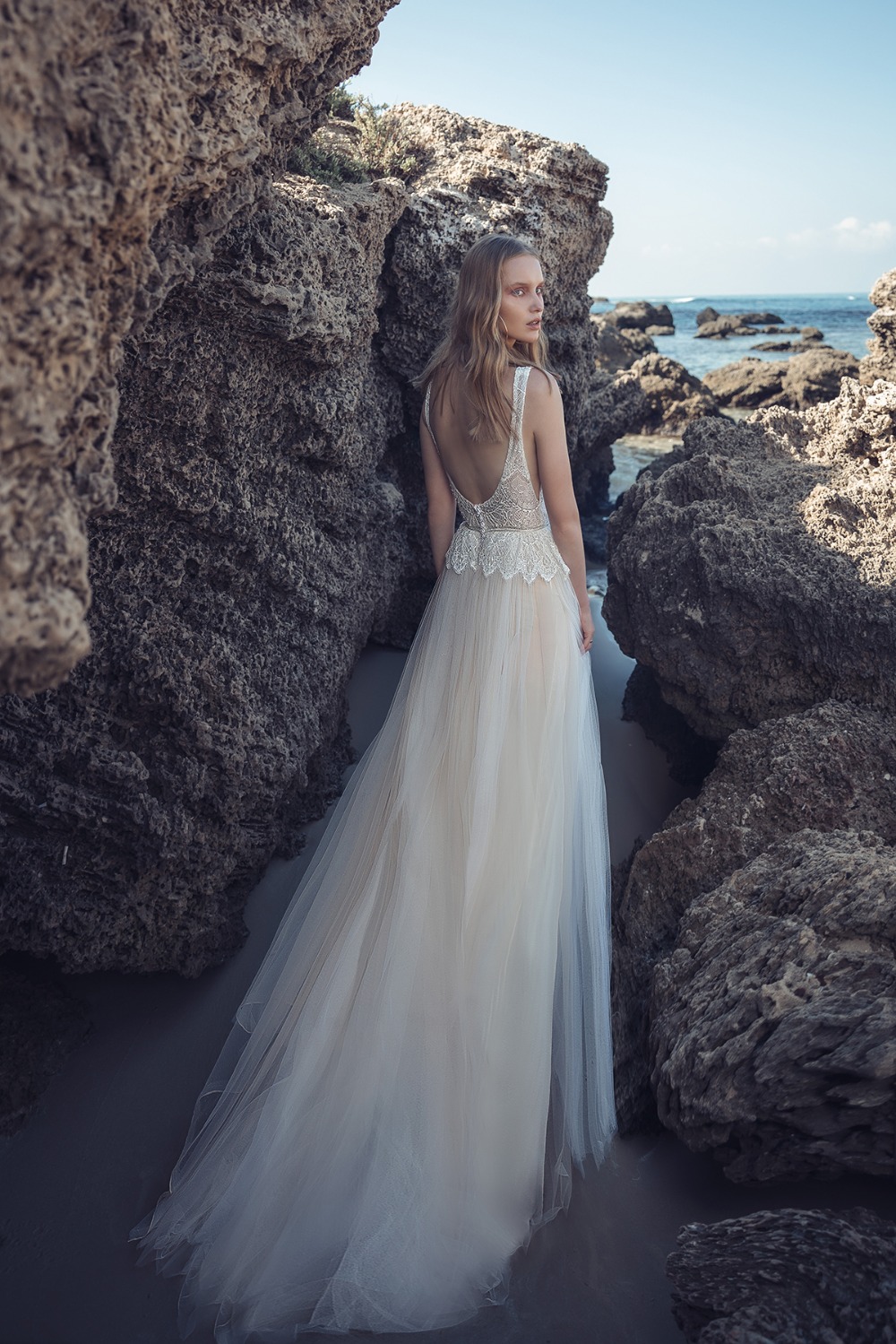 liliumthewilerose2019collection18