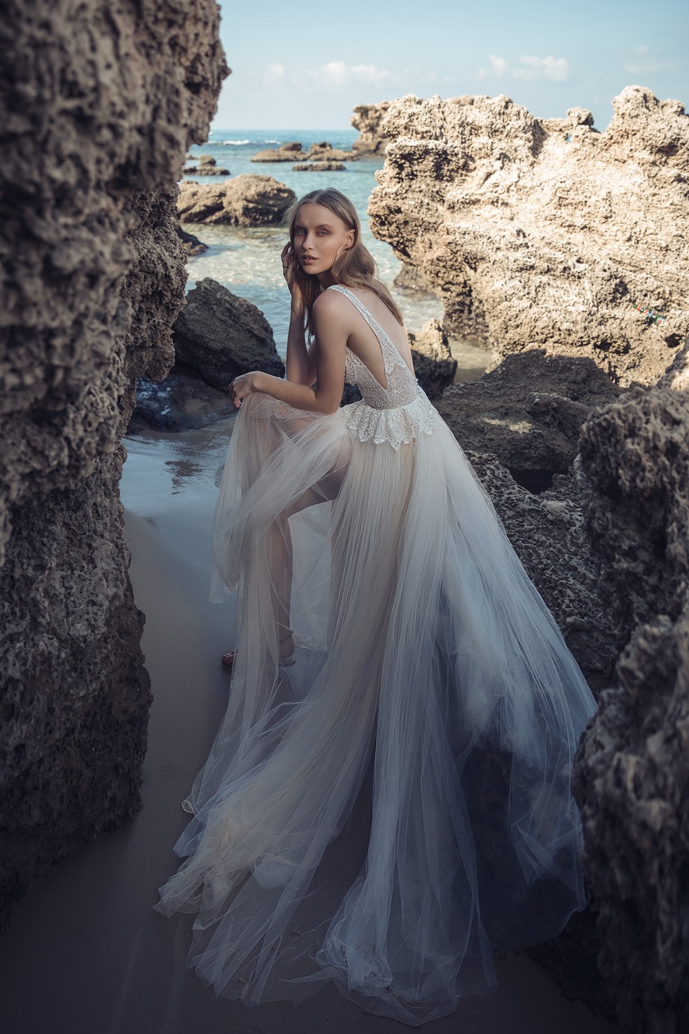 liliumthewilerose2019collection19