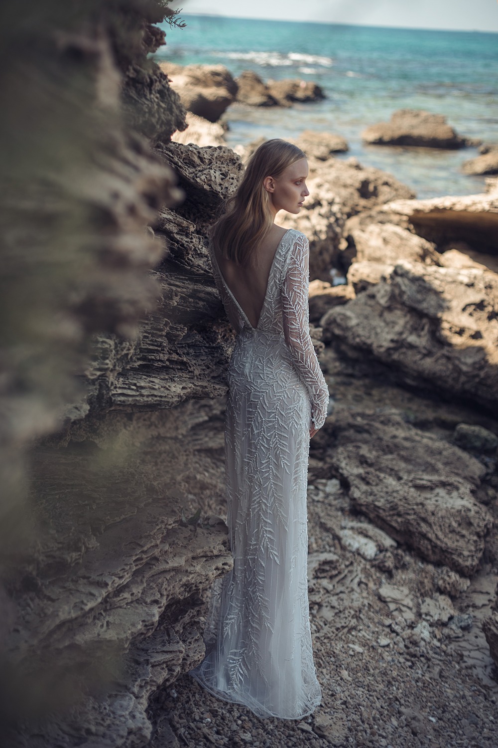 liliumthewilerose2019collection8