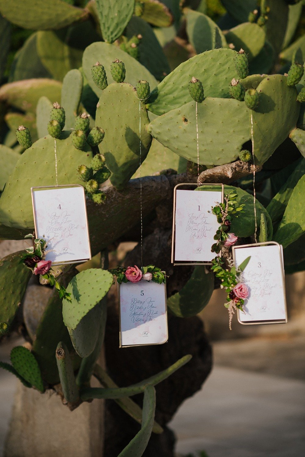 wedding cactus table assignment display