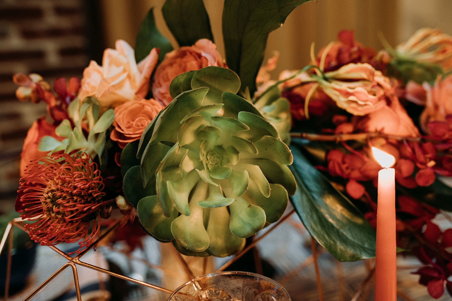 southernnativephotography43