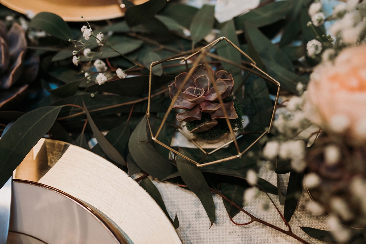 southernnativephotography48