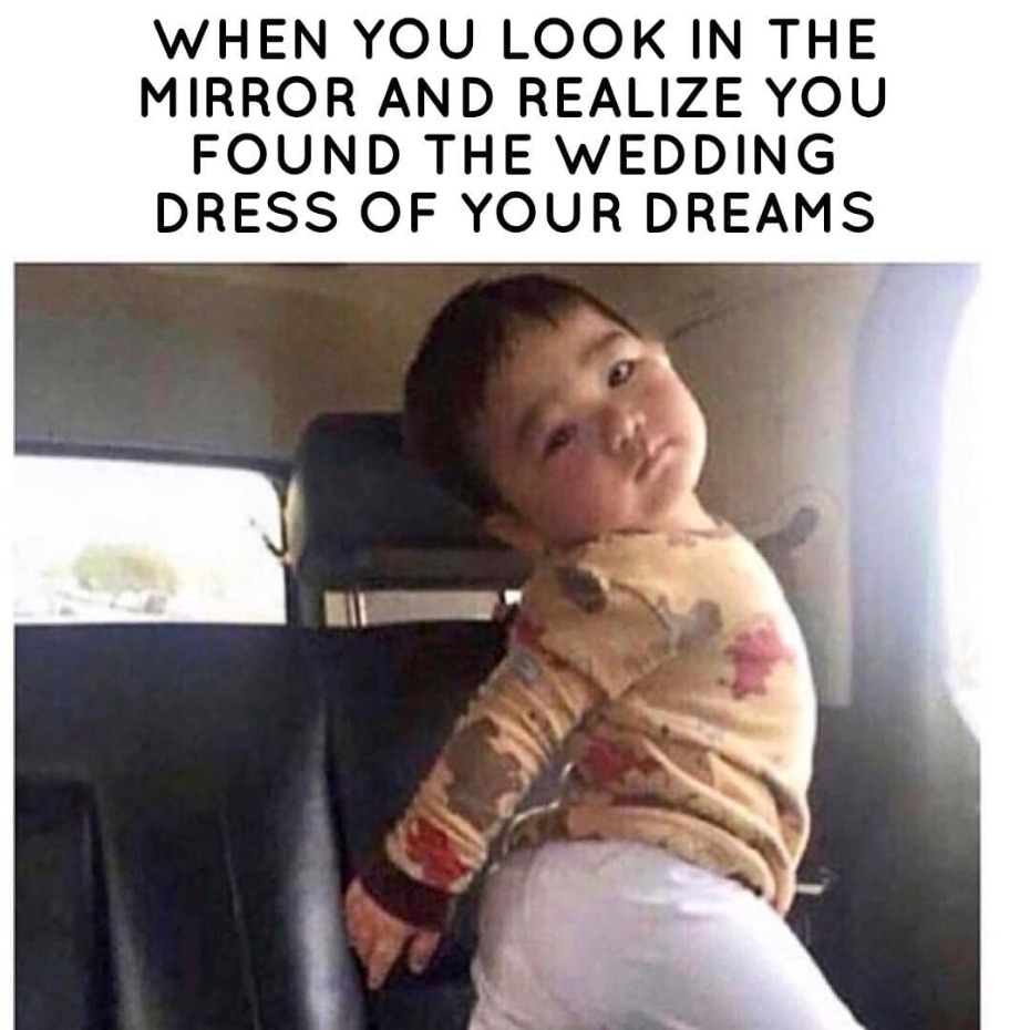 wedding-chicks-dress-of-your-dreams-meme