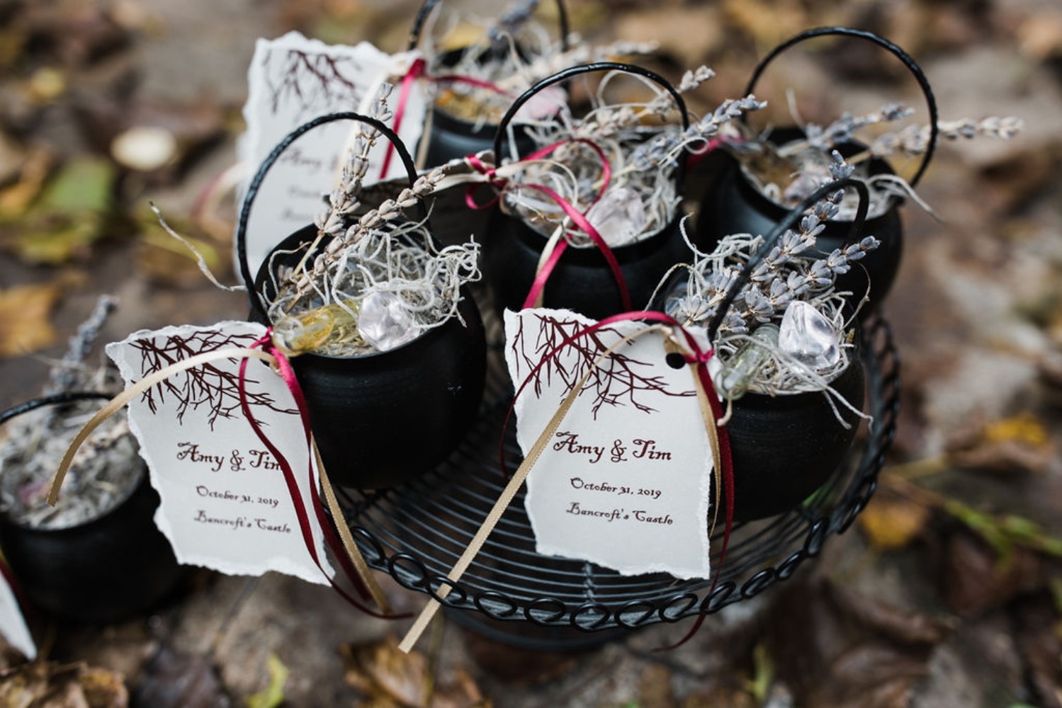 wedding-submission-from-christina-anne