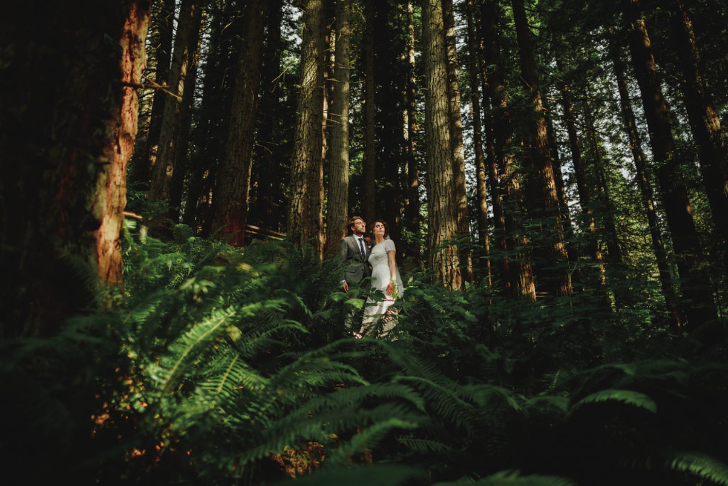 wedding-submission-from-jeff-brummett