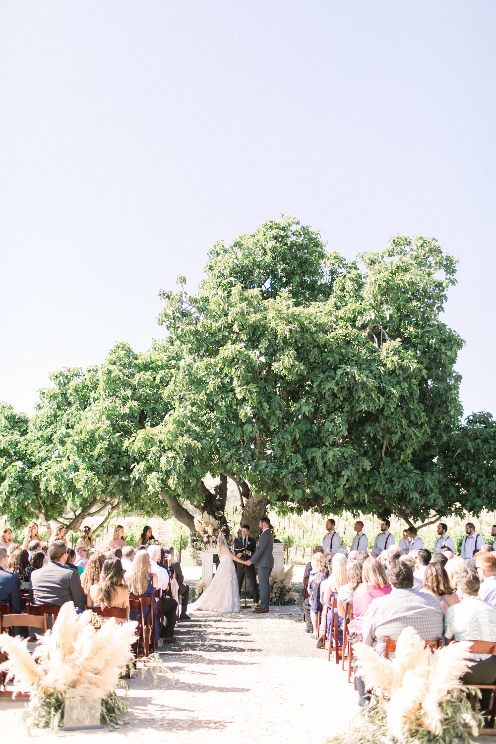 wedding-submission-from-kristyn