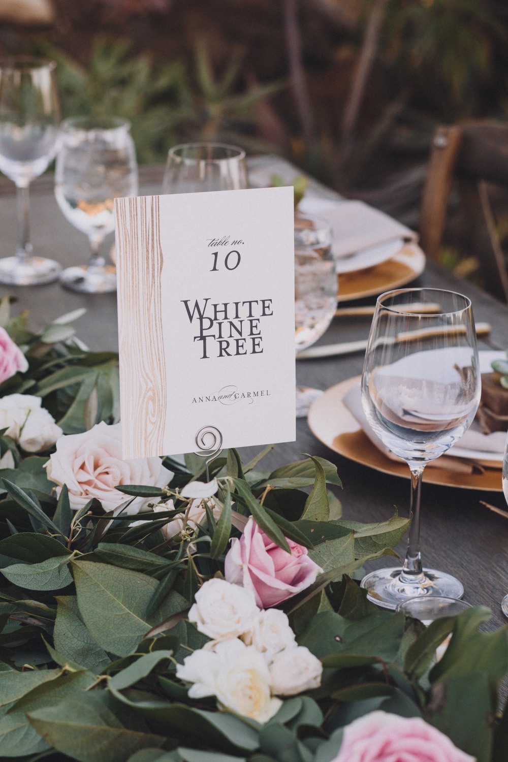 wedding-submission-from-mandee-johnson