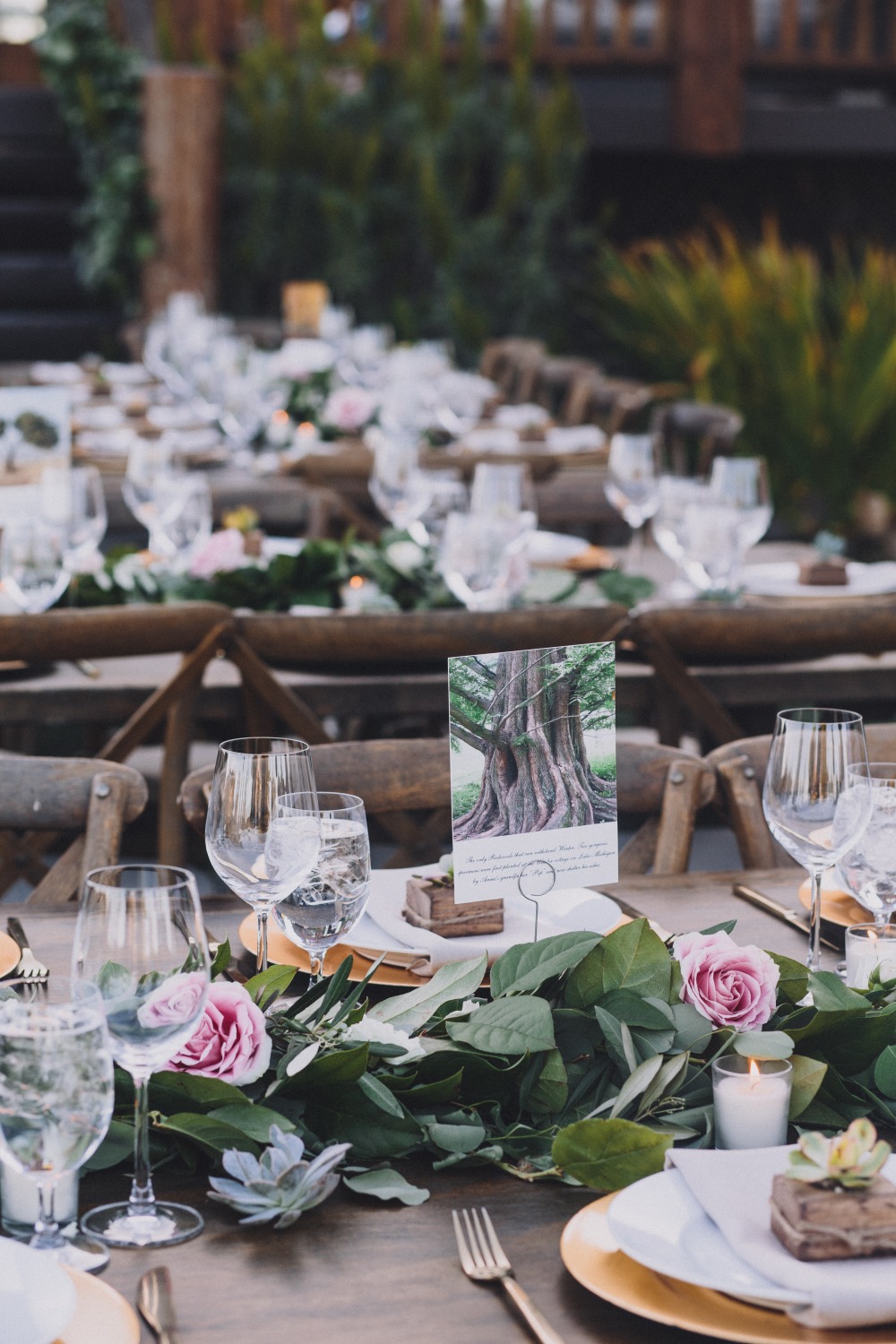 wedding-submission-from-mandee-johnson