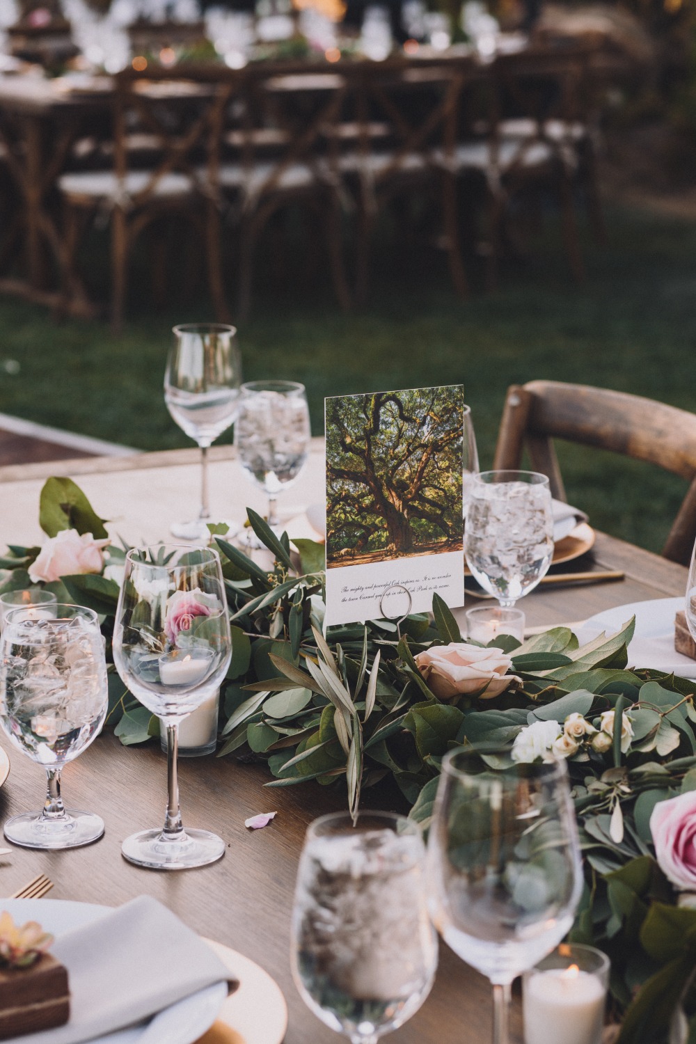 wedding tables named after trees