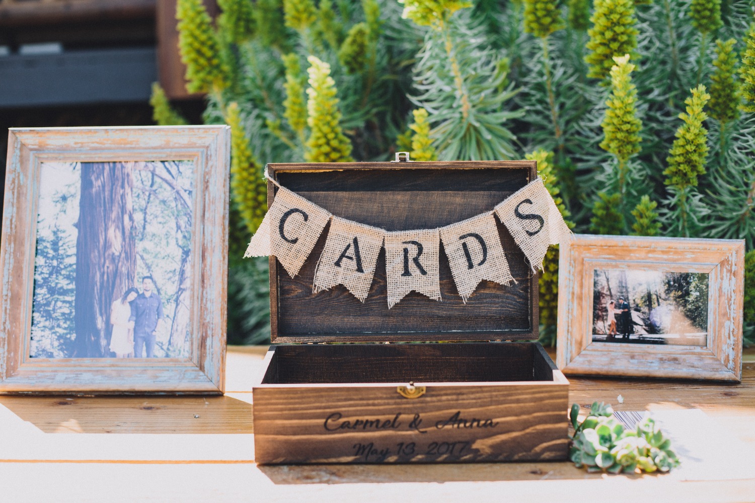 wedding-submission-from-mandee-johnson