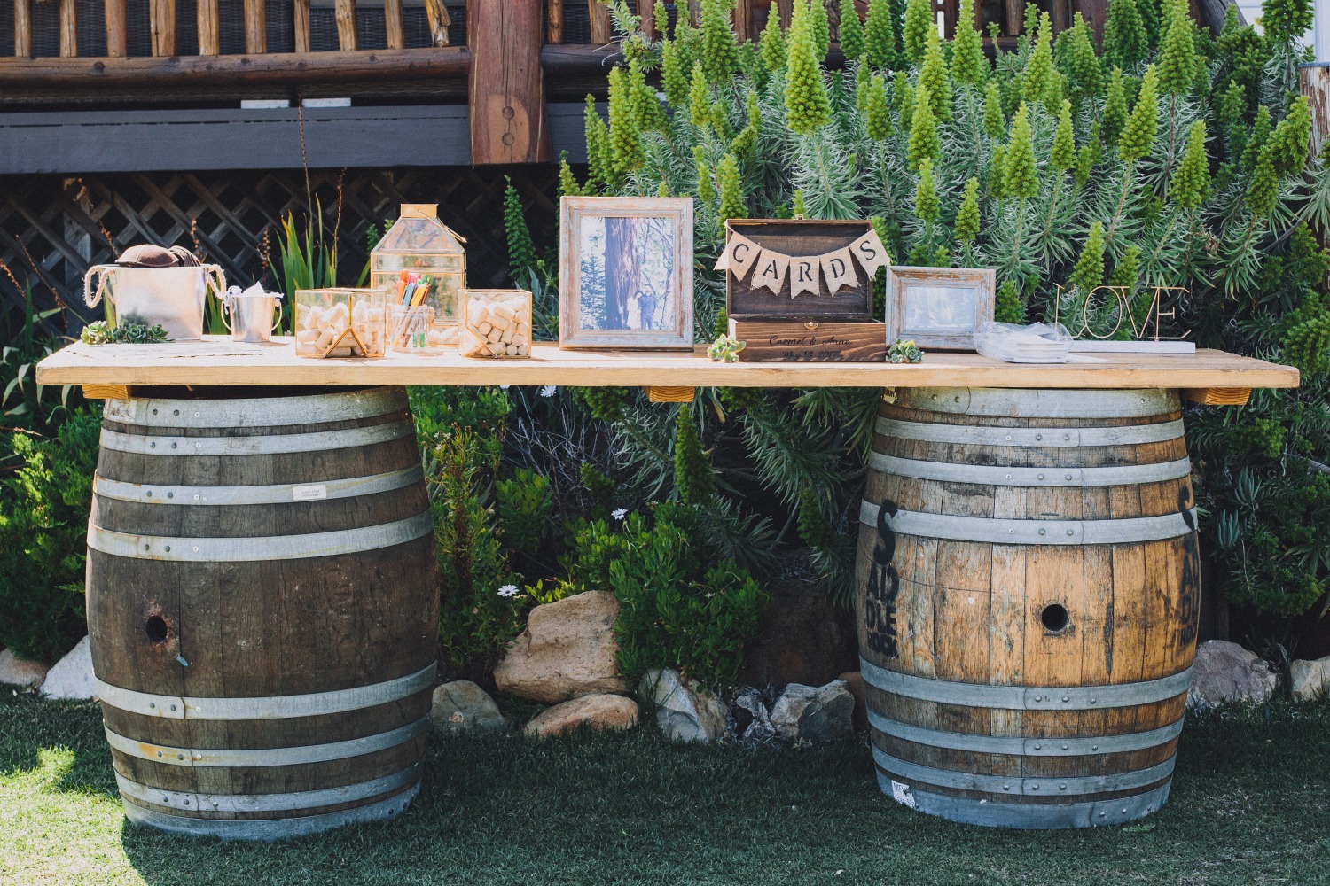 wedding-submission-from-mandee-johnson