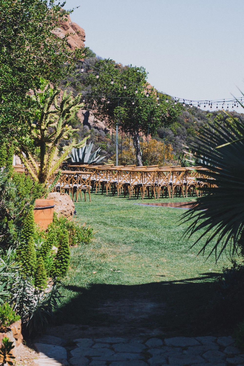wedding-submission-from-mandee-johnson