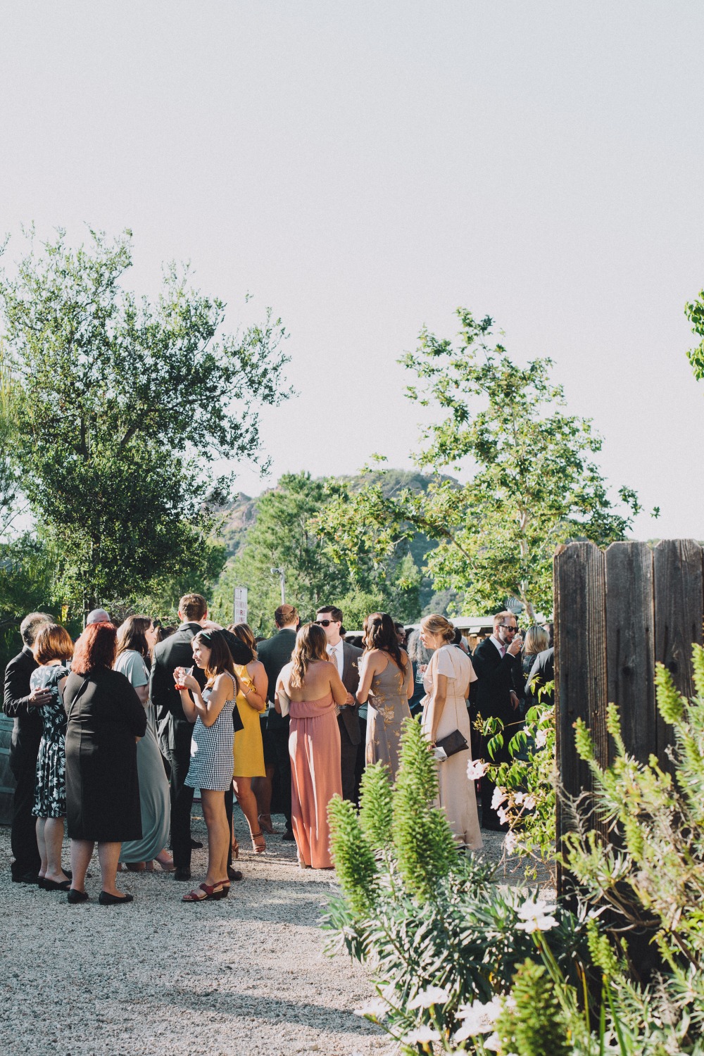 wedding-submission-from-mandee-johnson