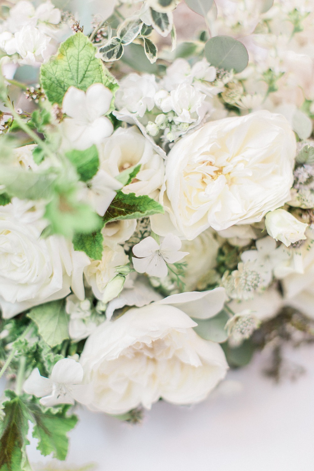 wedding-submission-from-megan-lee