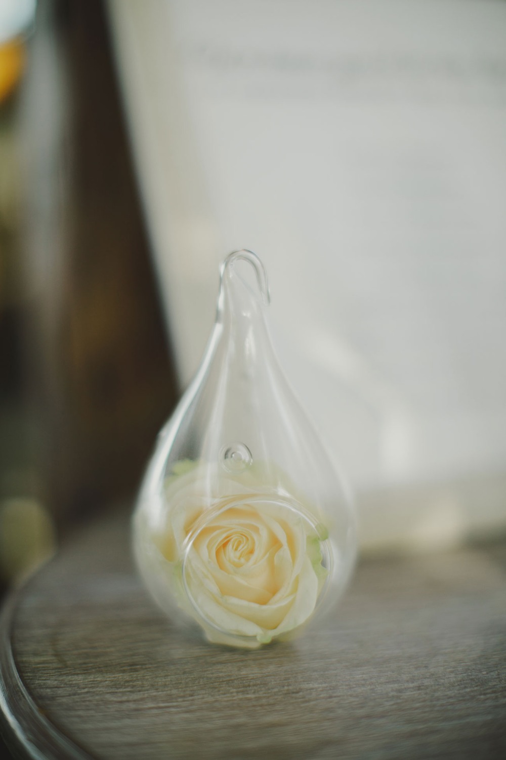 White rose in glass terrarium on a wooden surface, close up