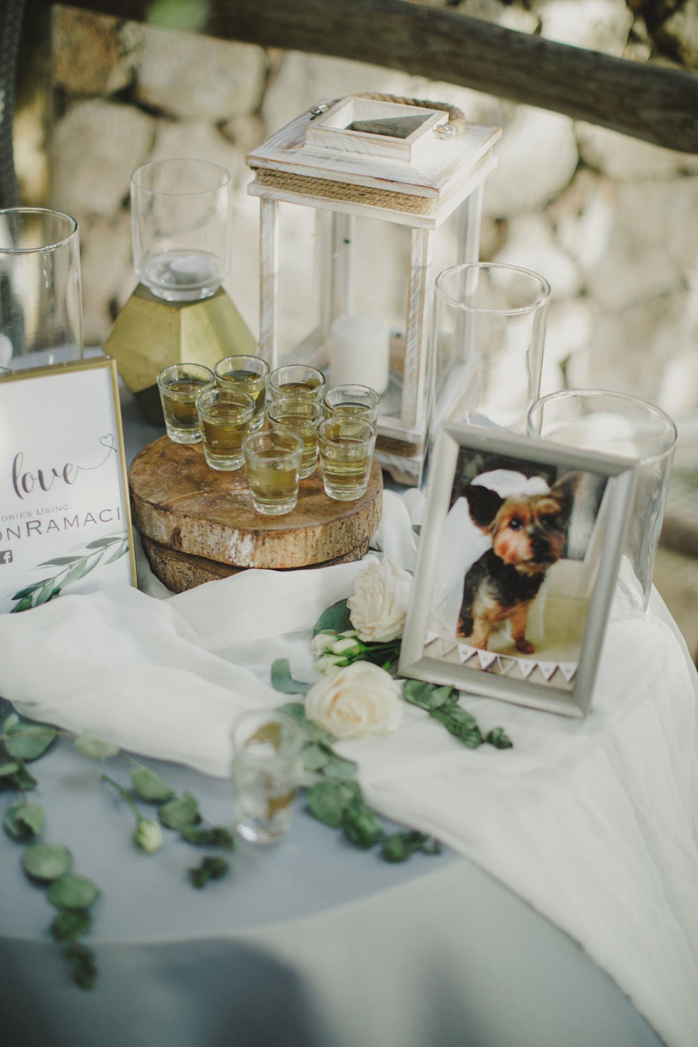 wedding-submission-from-tina-ramaci
