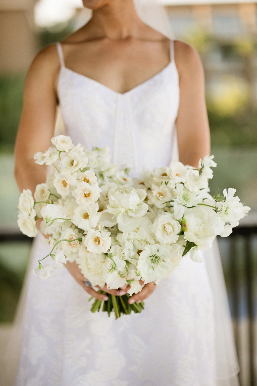 amy-abbott-events
