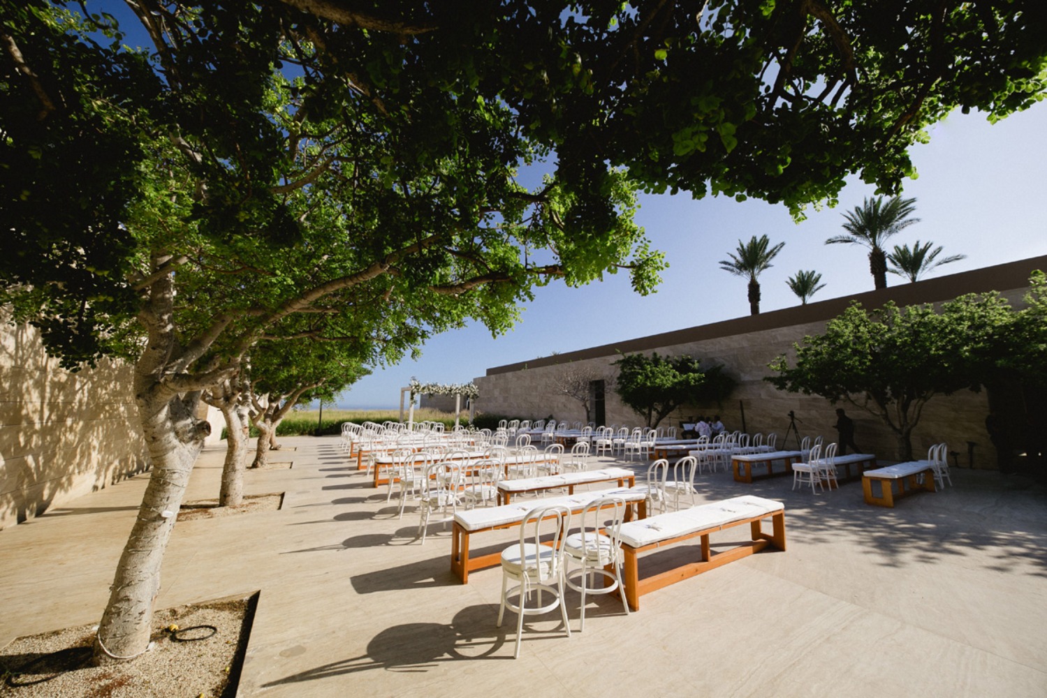 amy-abbott-events
