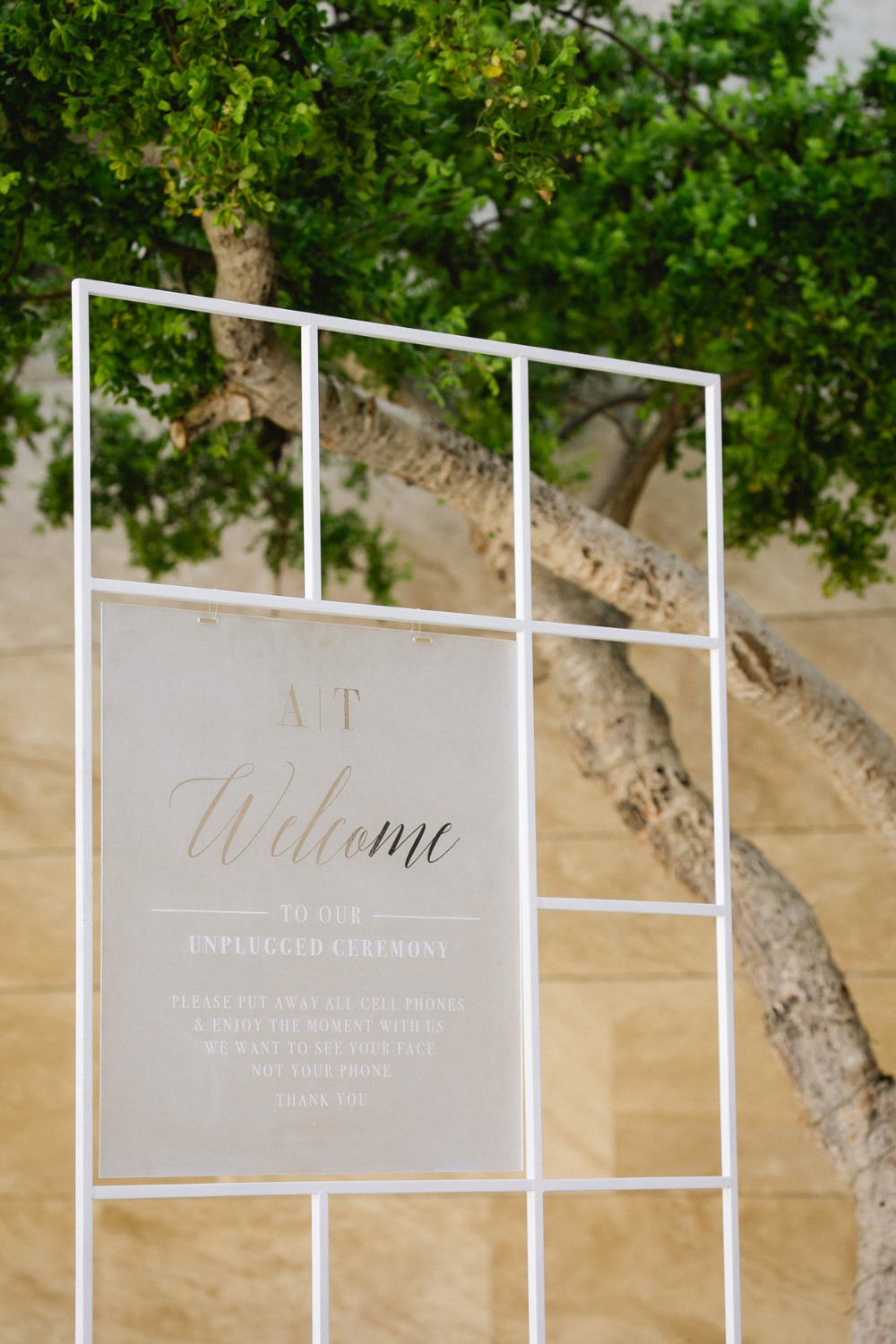 amy-abbott-events