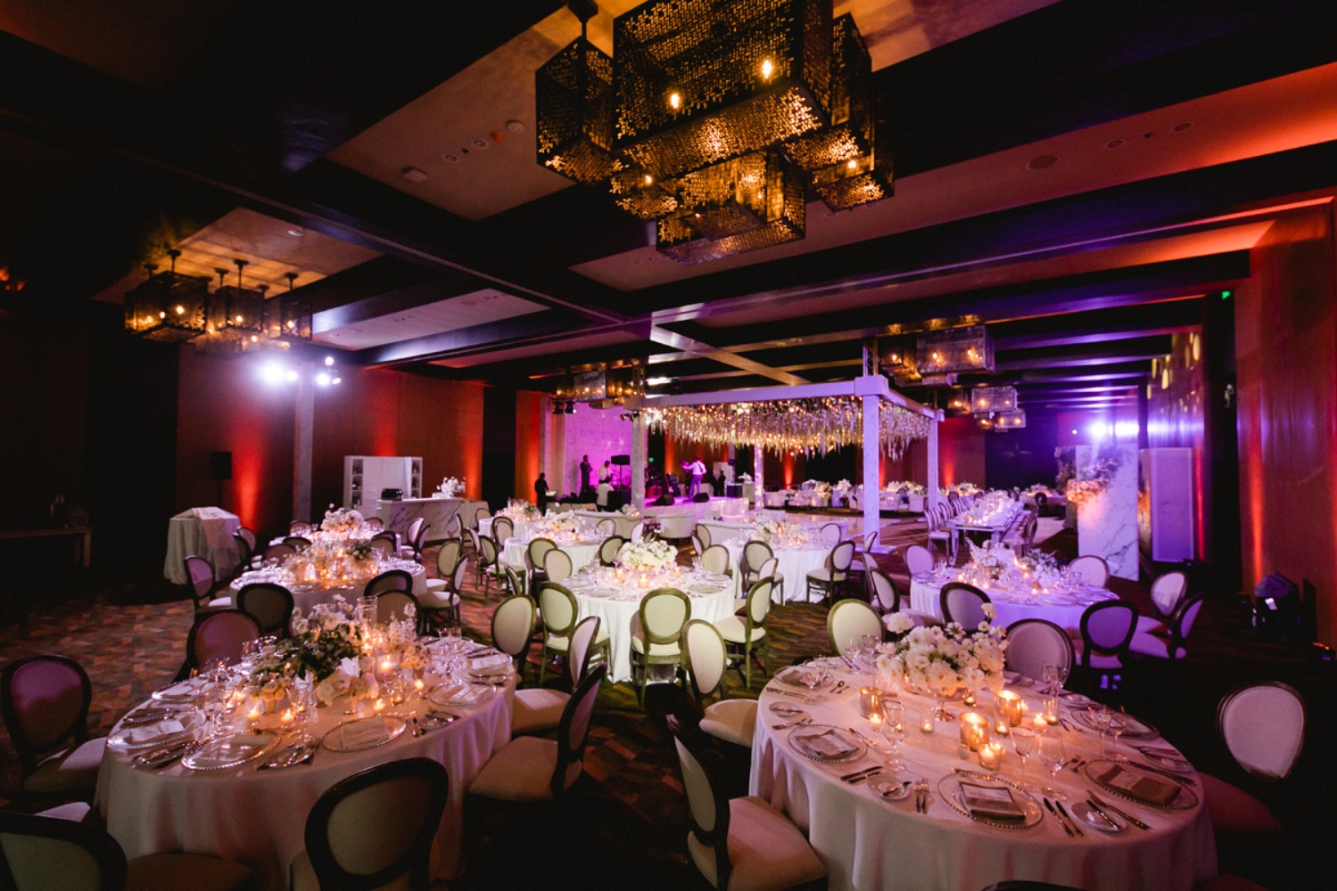 amy-abbott-events