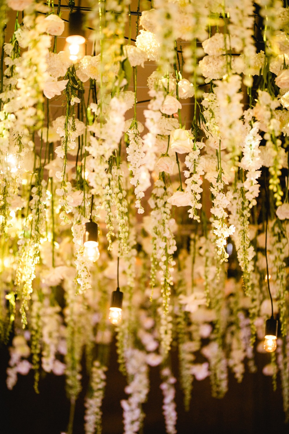 amy-abbott-events