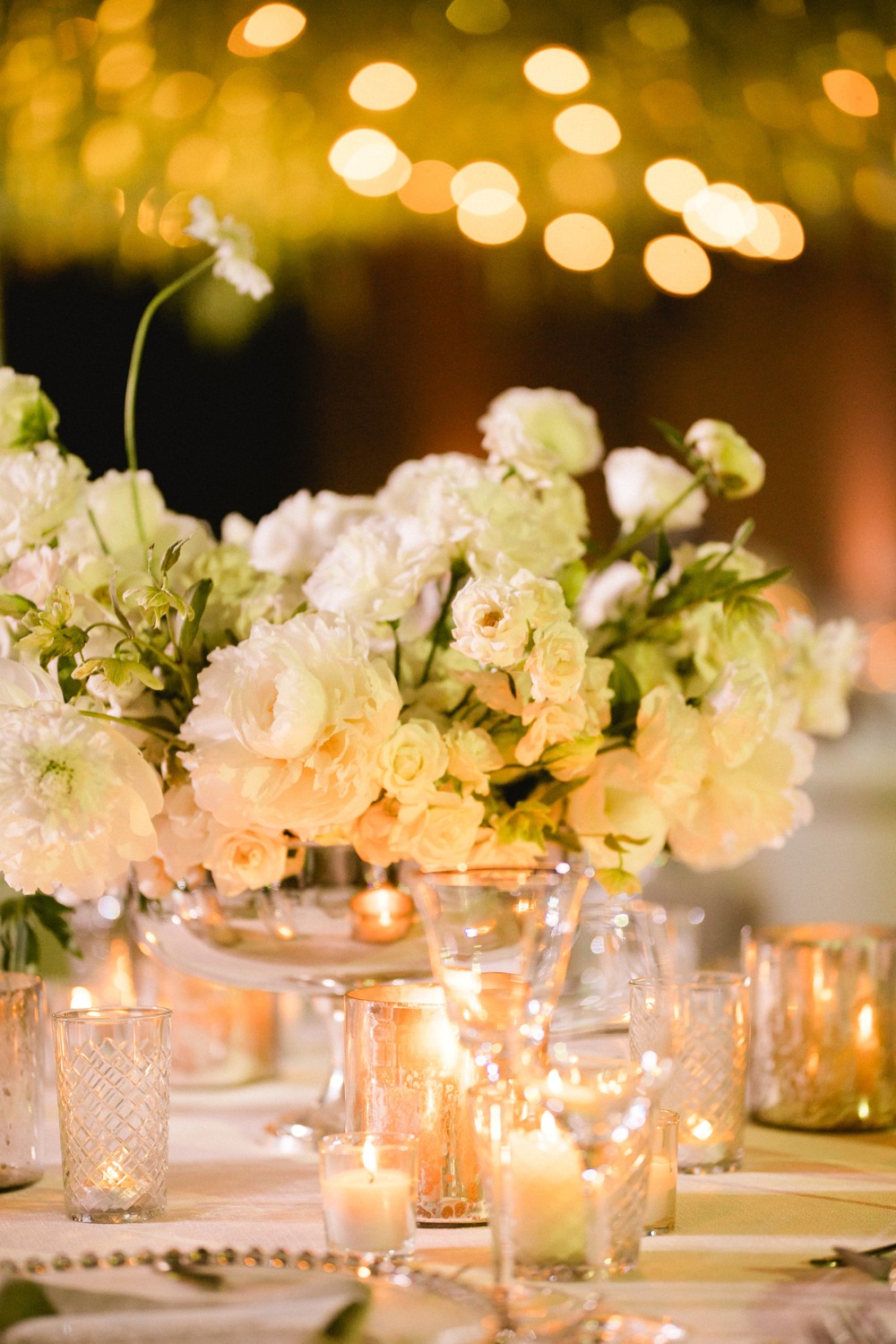 amy-abbott-events
