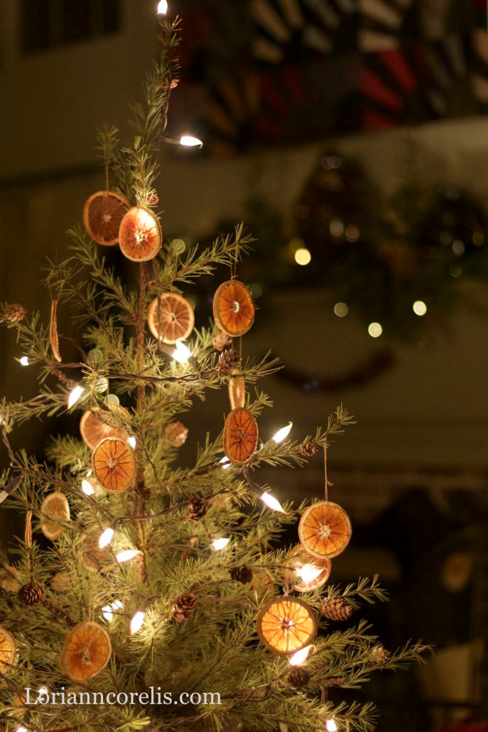 dried-orange-tree-ornaments
