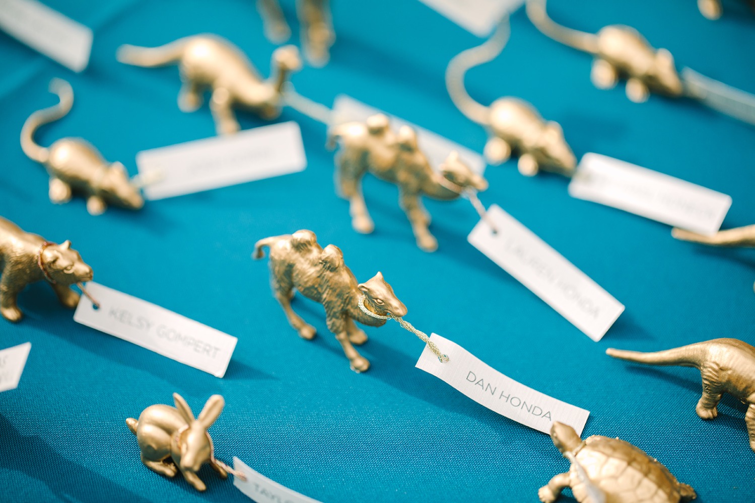 Gold animals place cards