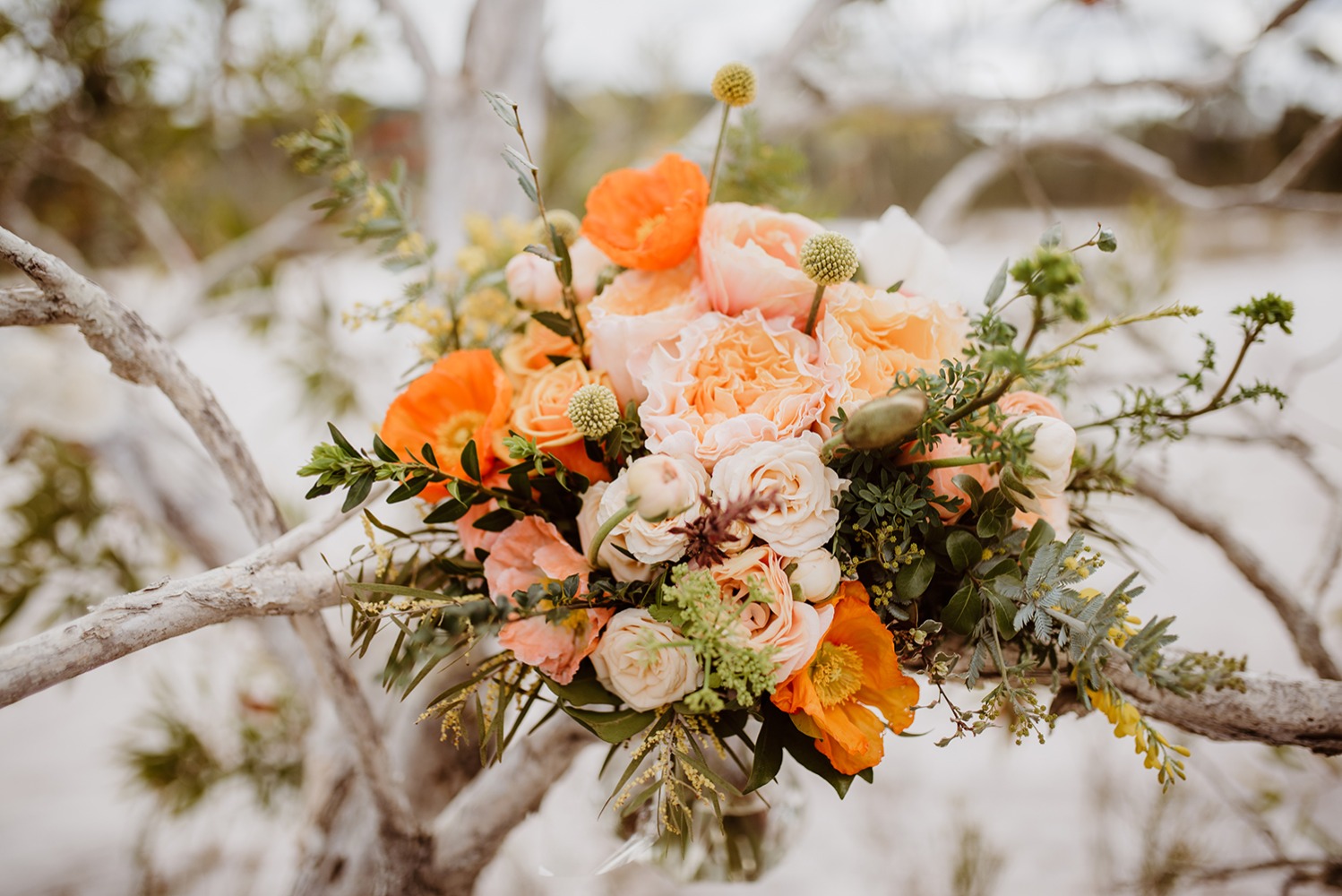 luna-willow-bridal
